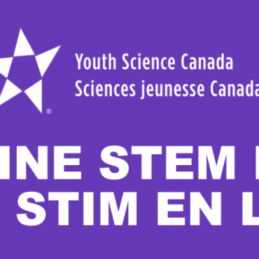 Check Out The YSC VIRTUAL FAIR SITE