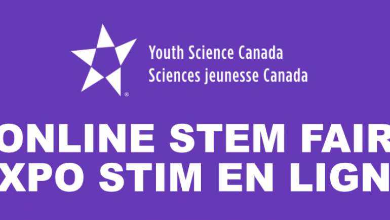 Check Out The YSC VIRTUAL FAIR SITE